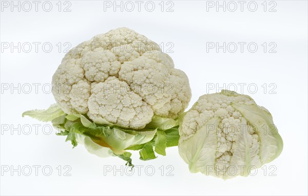 Cauliflower