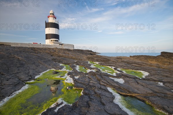 Reflection in the algae at Hook Head Lighthouse