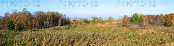 Panorama floating bog