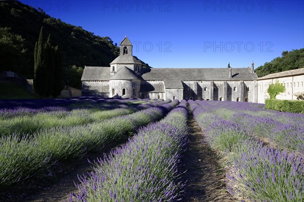 Cistercian abbey Abbaye Notre-Dame de Senanque