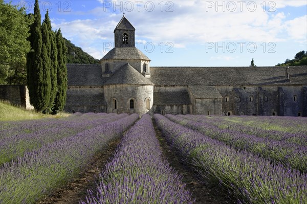 Cistercian abbey Abbaye Notre-Dame de Senanque