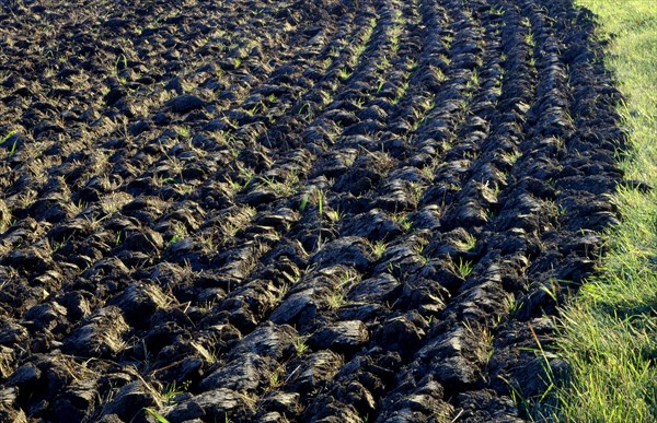Tilled