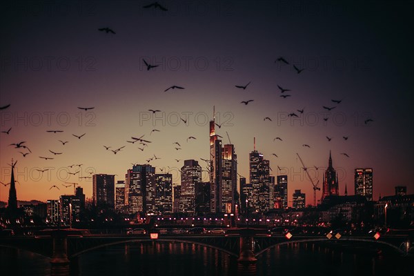 View of Frankfurt and the illuminated Frankfurt skyline