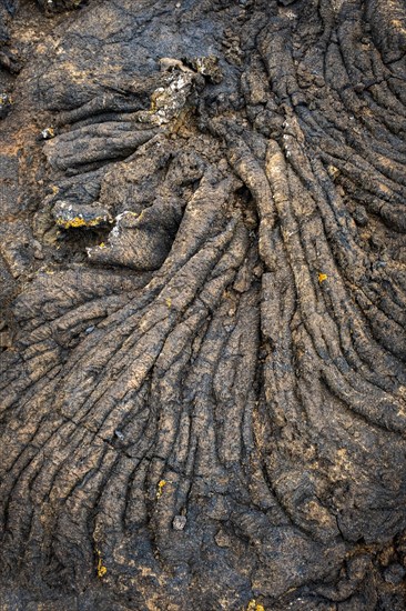 Pahoehoe lava