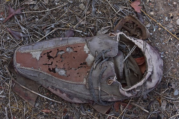 Marooned Men's Low Shoe on Ground with Dried Grass