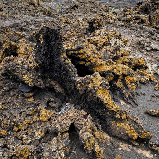 Pahoehoe lava