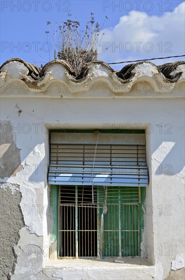 Simple barred window and weeds proliferates house roof