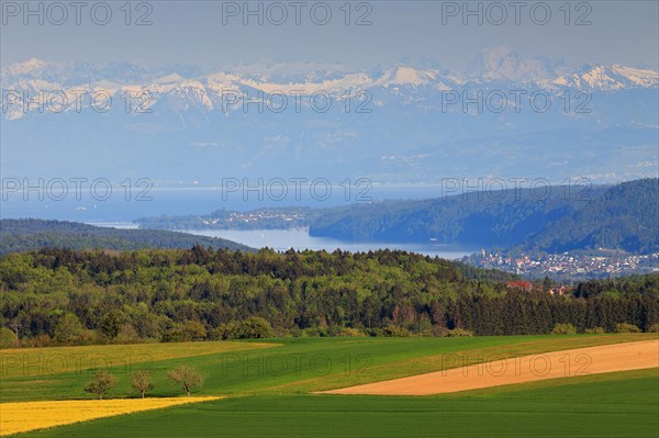 View of the Alps from Witthoh