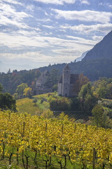 Autumn vineyards and chapel at Englar Castle