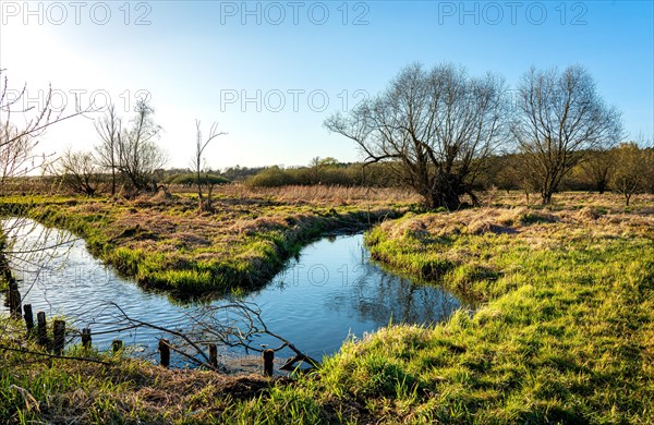 Landscape at the Tegeler Fliess in Luebars