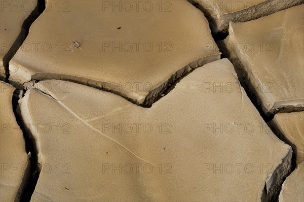 Dried clay soil with deep furrows