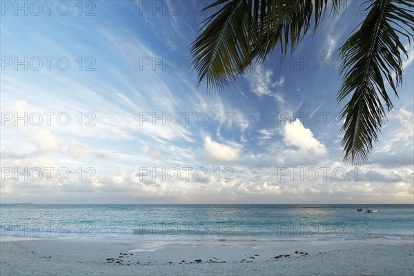 Pineapple Beach