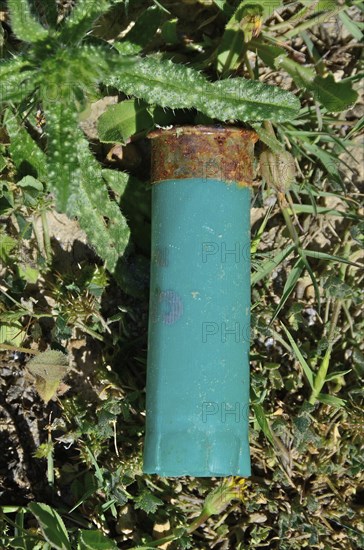 Shotgun shell in the grass