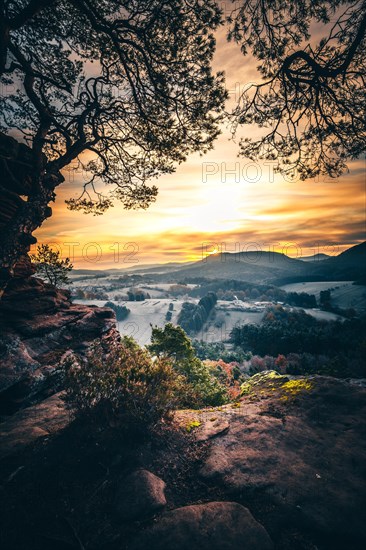 View from the sandstone rock Wachtfelsen to the sunrise
