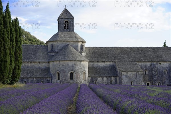 Cistercian abbey Abbaye Notre-Dame de Senanque