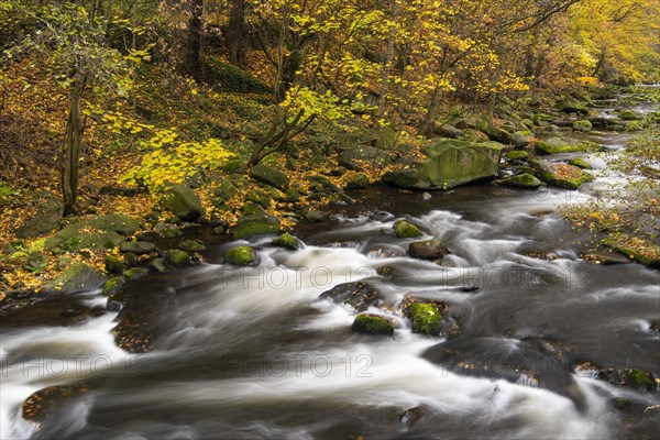 River Bode in the autumnal Harz Mountains