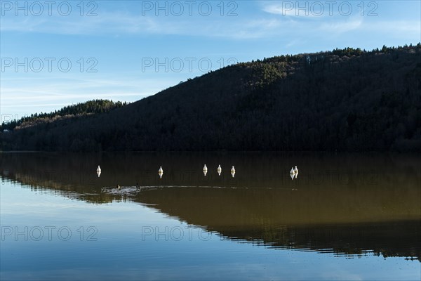 Lake Chambon