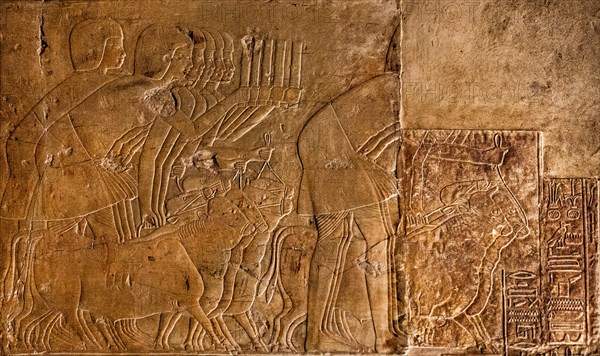 People rounding up cows to present to the Pharaoh afterwards. Next door