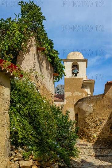Corsican village of Pigna