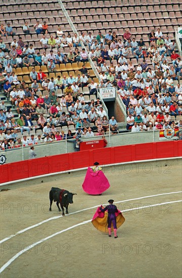 Bull