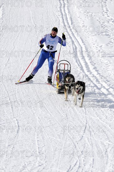 Musher with sled dog team
