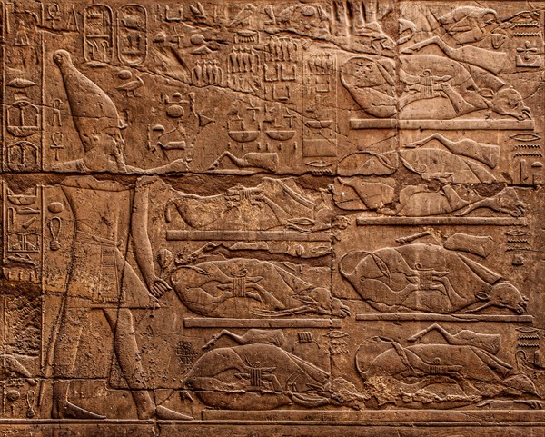 Scene at the doorway: The king consecrates beef shanks