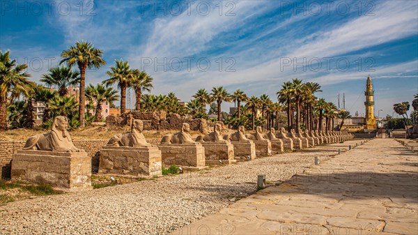 Avenue of the Sphinxes between Luxor Temple and Karank Temple