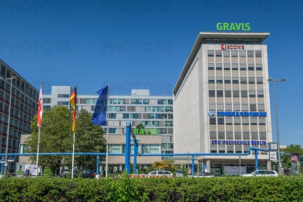 Gravis