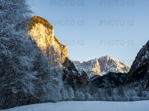 Winter landscape