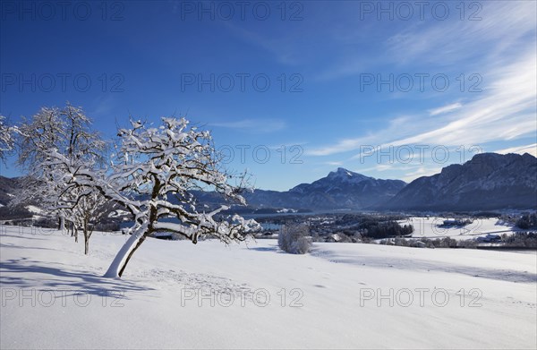 View of snow-covered Mondseeland with Schafberg and Drachenwand