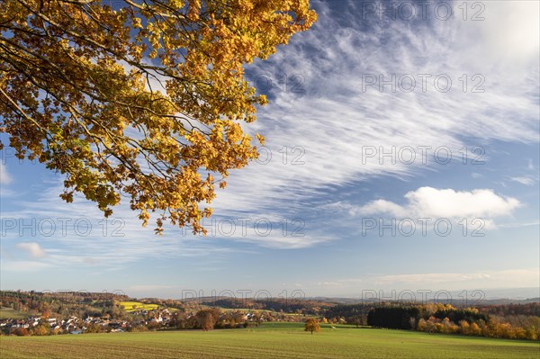 Colourful autumn colours in the forest near Liggeringen