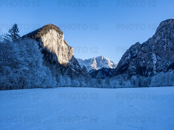Winter landscape