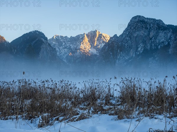 Winter landscape in the fog