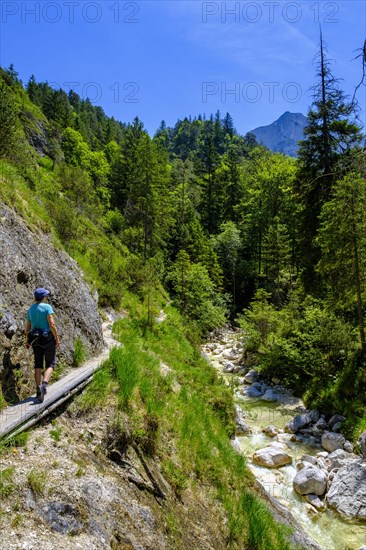 Aschauer creek