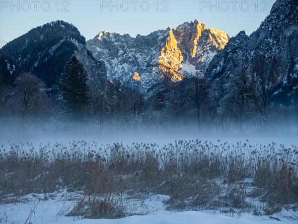 Winter landscape in the fog