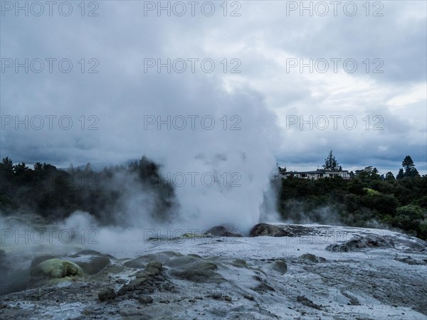 Active geothermal field