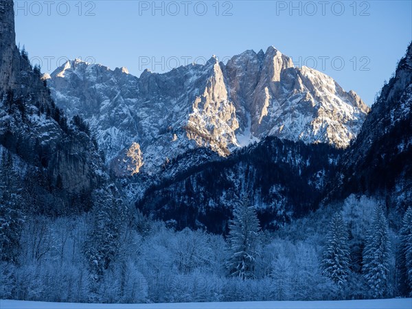 Winter landscape