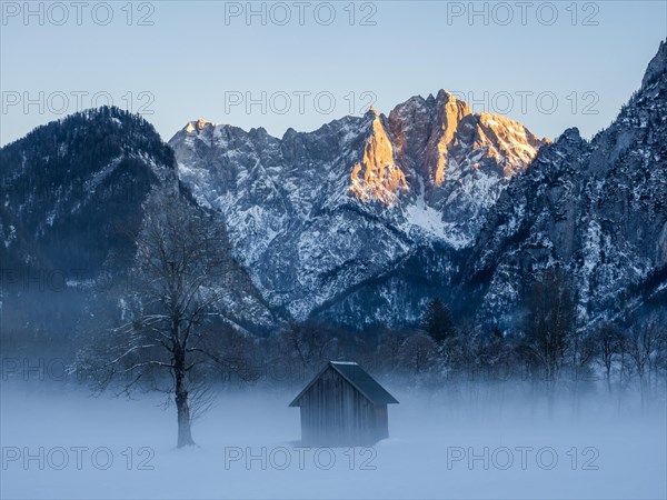 Winter landscape in the fog