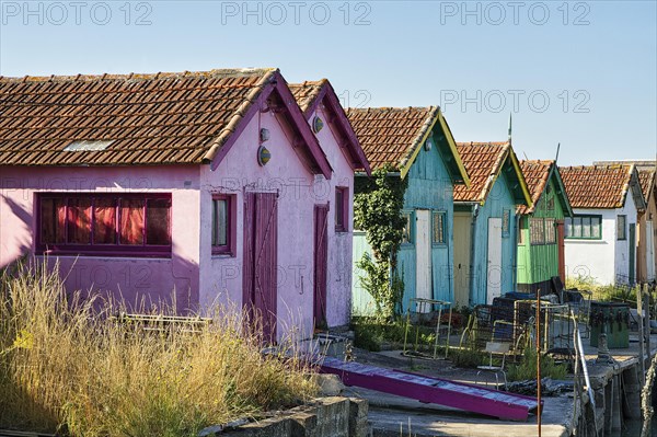 Colourful oyster farmers' huts