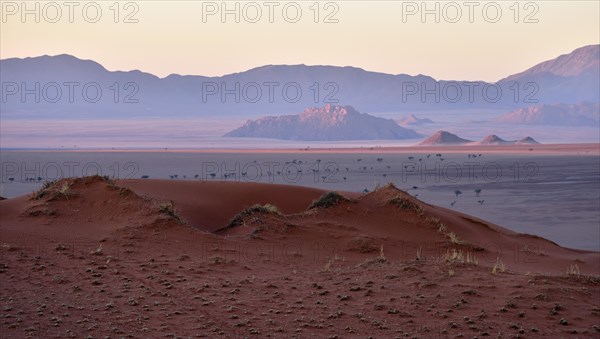 Red dunes in the evening light