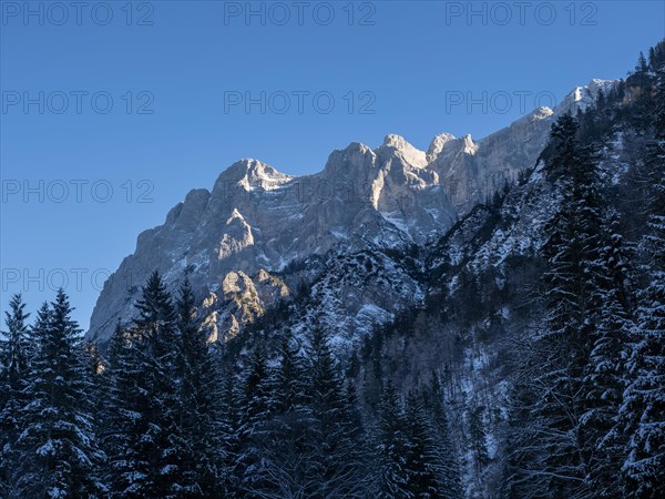 Winter landscape