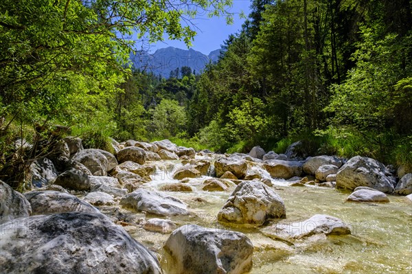 Aschauer creek