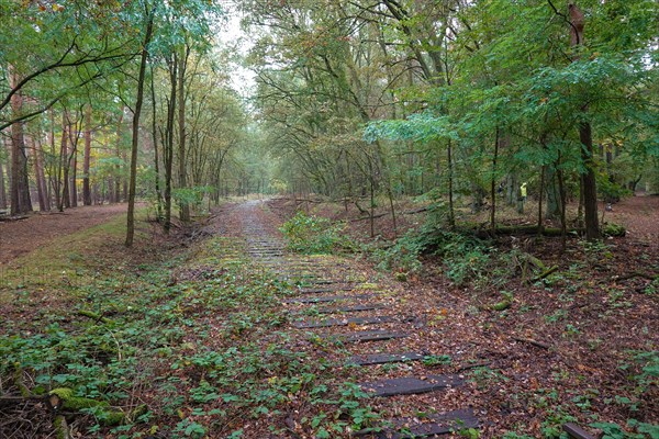Old railway line of the Boetzowbahn