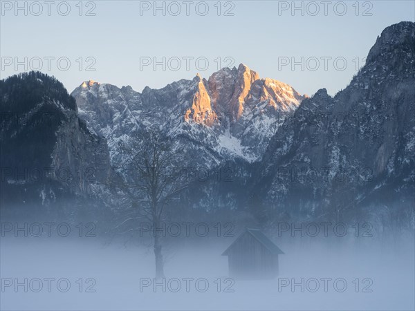 Winter landscape in the fog