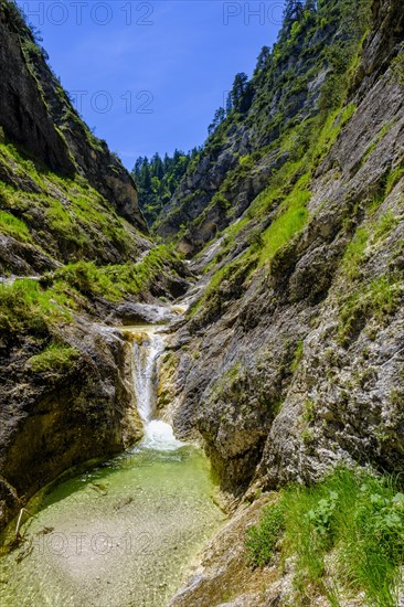 Aschauer creek