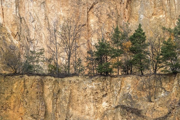 Disused porphyry quarry