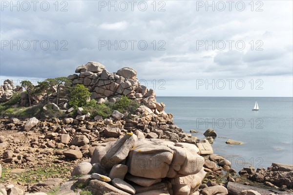 Pink granite rocks