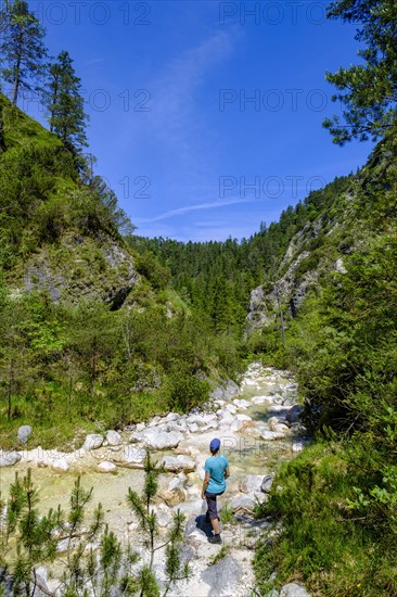 Aschauer creek