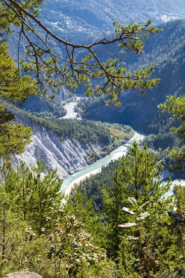 Rhine Gorge Anterior Rhine