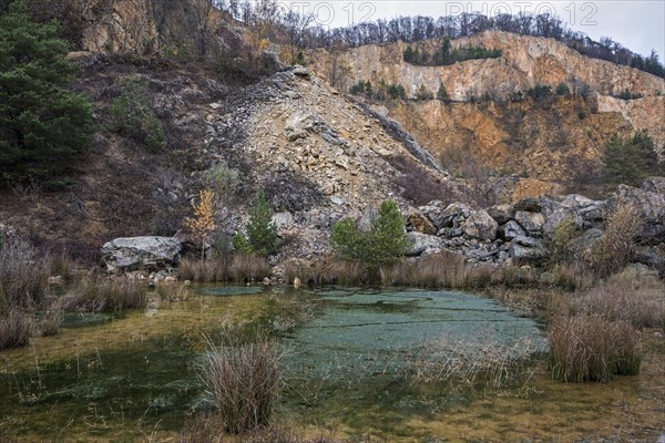 Disused porphyry quarry
